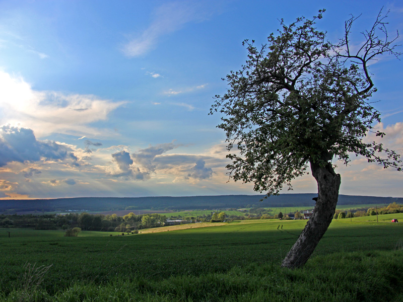Gewitterstimmung